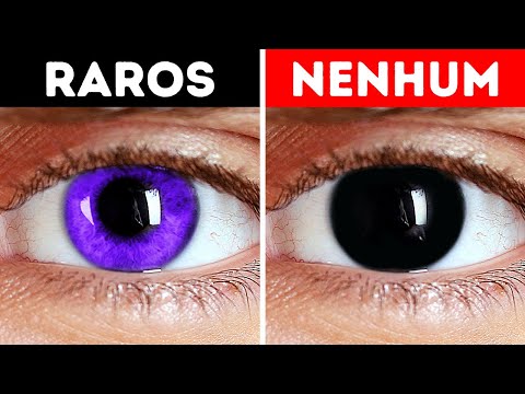 Por que você