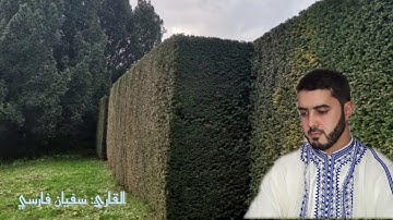 (أَلَمْ تَرَ إِلَىٰ رَبِّكَ كَيْفَ مَدَّ ٱلظِّلَّ )   -القارئ:سفيان فارسي