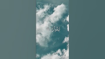 تلاوة هادئة سورة العنكبوت الآية 61 للقارئ عبدالرحمن مسعد