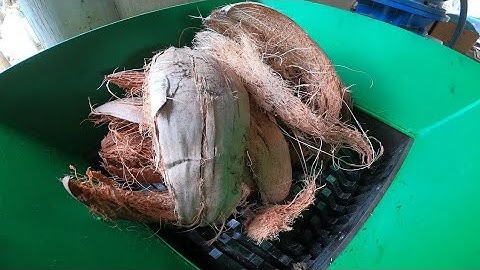 COCONUT SHELL VS FAST SHREDDER MACHINE