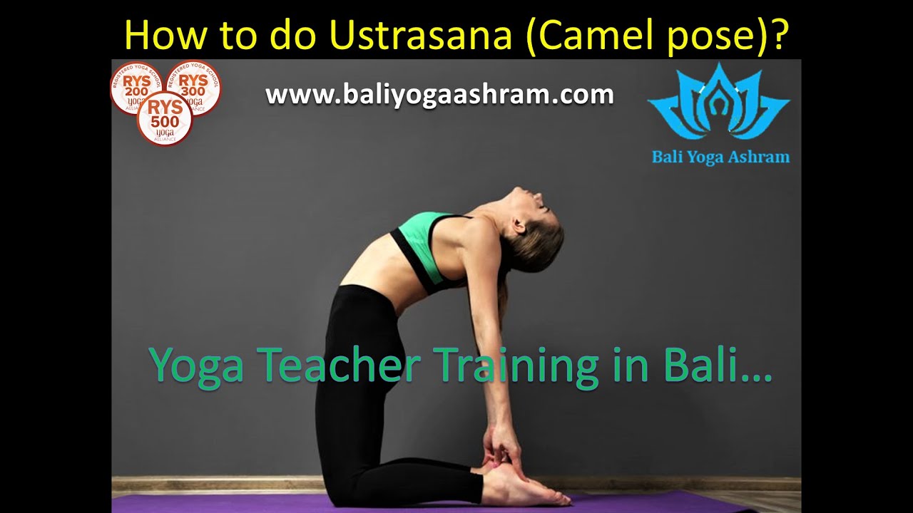 How to do Ustrasana (Camel pose) Bali Yoga Ashram YouTube