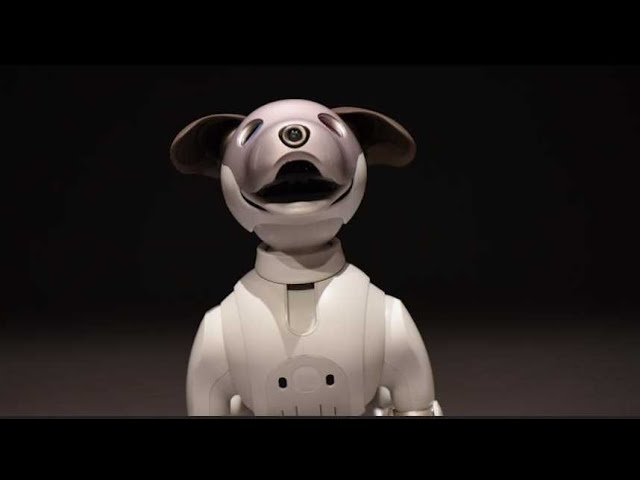 Aibo – un chien robot ultra-réaliste - Corps en Immersion