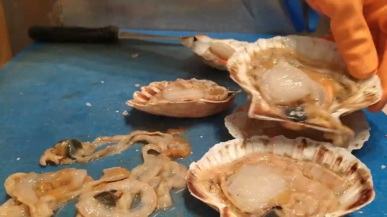 como limpiar vieiras vivas #marisco #cocinasana