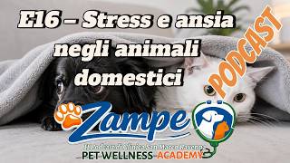 🐶🐱 Stress e Ansia nel Cane e nel Gatto: come riconoscere i segnali | Zampe Ep. 16 🐶🐱 Stress e Ansia nel Cane e nel Gatto: come riconoscere i segnali | Zampe Ep. 16