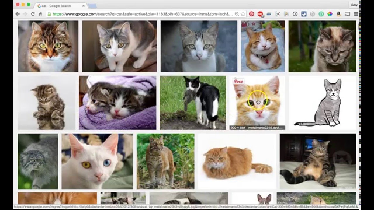Finding Creative Commons and Public Domain Images through Google Images