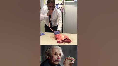 Sigma science experiment Albert Einstein 😱 Lung inflation in science Lesson 2025 #shorts #biology
