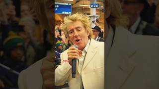 Rod Stewart The Chill Guy