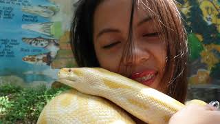WHY ARE SO MANY PEOPLE FASCINATED WITH SNAKES?