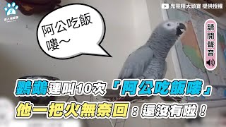 【鸚鵡連叫10次「阿公吃飯嘍」 他一把火無奈回：還沒有啦！】｜@big-head-mico