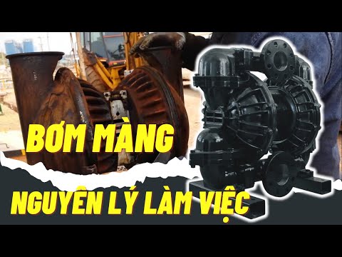 Video: Bơm màng: ứng dụng và đặc điểm