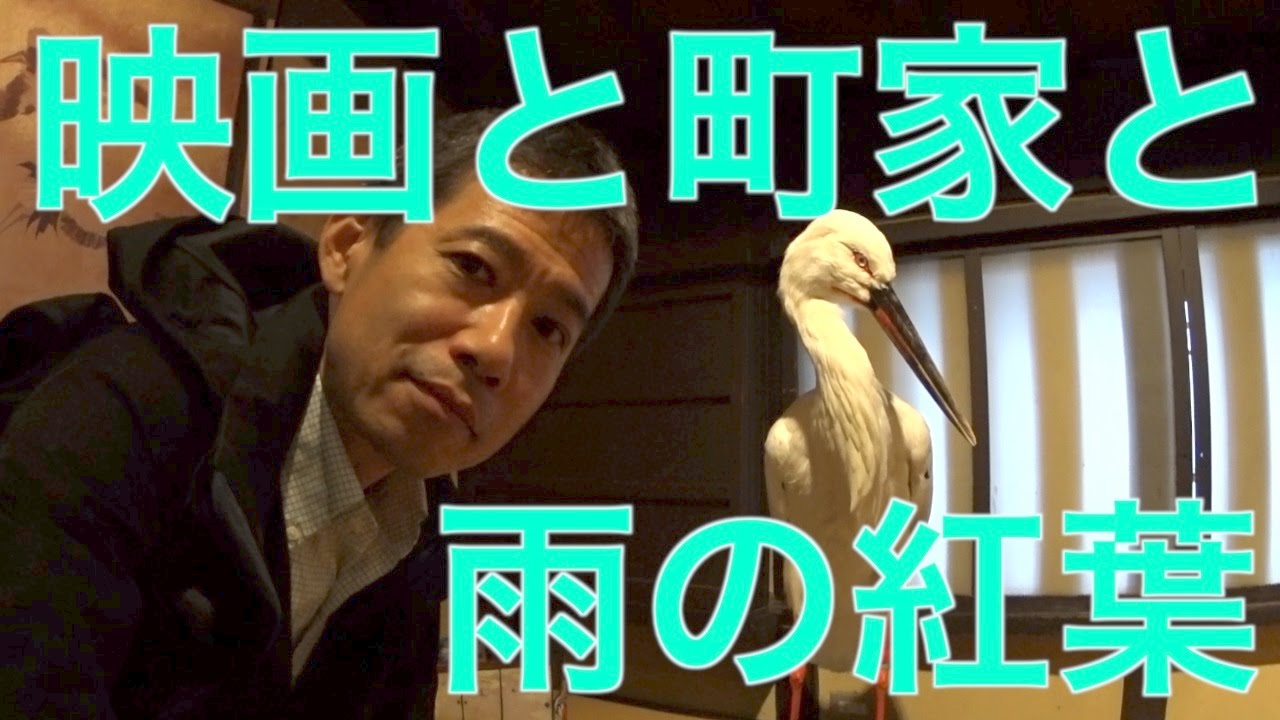 杉本博司 映画と町家と雨の紅葉　Ufer! VLOG 44