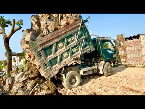Video Xe tải Hoa Mai siêu khoẻ chở đất | máy xúc Dosan dx60... - youtube