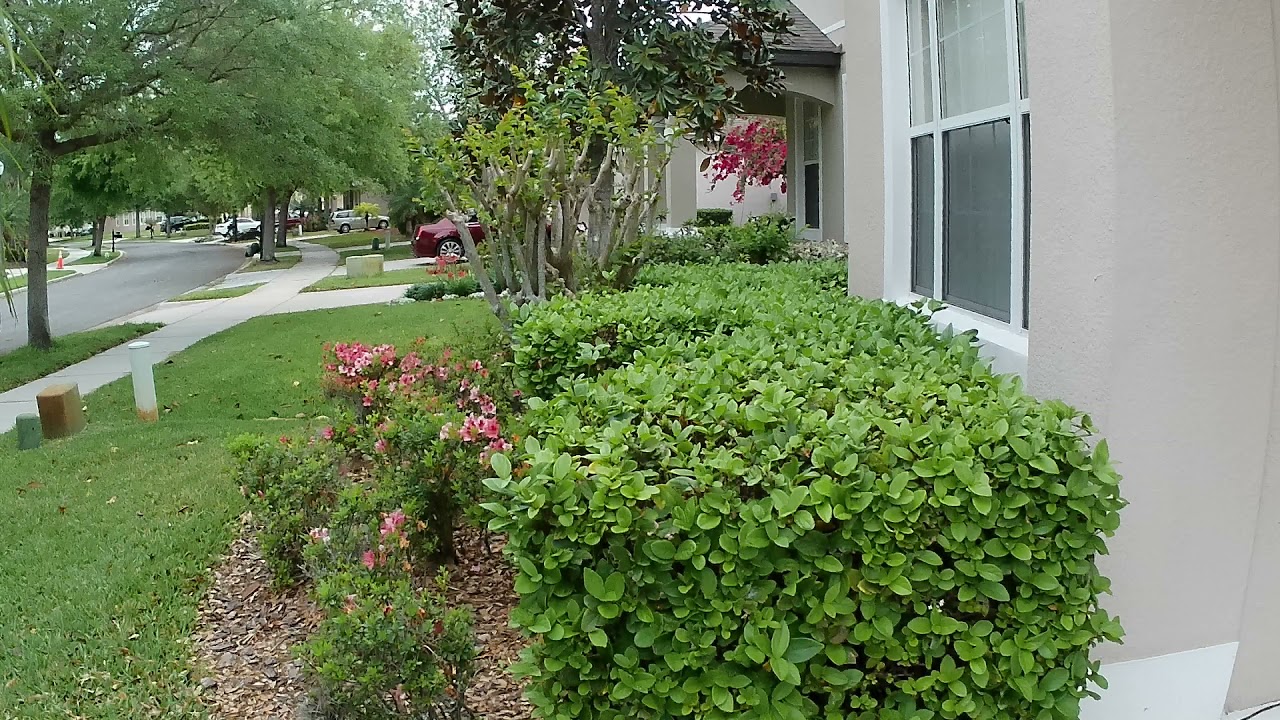 Victure AC920 Action Camera 1080p30 Mode EIS On Test