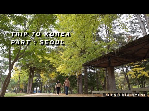 Trip To Korea - Seoul | Autumn In Korea | Food Hunter
