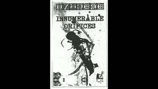 Details Ozadene / Innumerable Orifices Split. Update