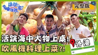 【宜蘭外澳】活跳跳海中大物上桌!型男吹風機料理美味上菜!【#請問今晚住誰家】20190919 EP28 完整版 竇智孔 柯有倫 舞陽