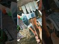 This Axe Split Everything in One Hit!#Topaxe#handmade#heavyblade#axeshow#tranding#shortsviral#shorts