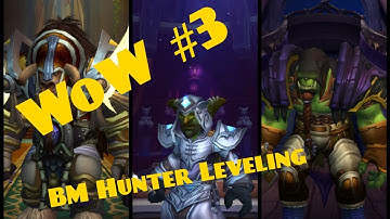 WoW BfA BM Hunter Leveling