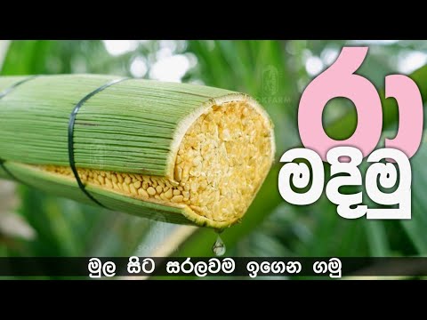 How to make Coconut toddy | පොල් රා බොන්න මලක් කපමු | pol mala kapeema