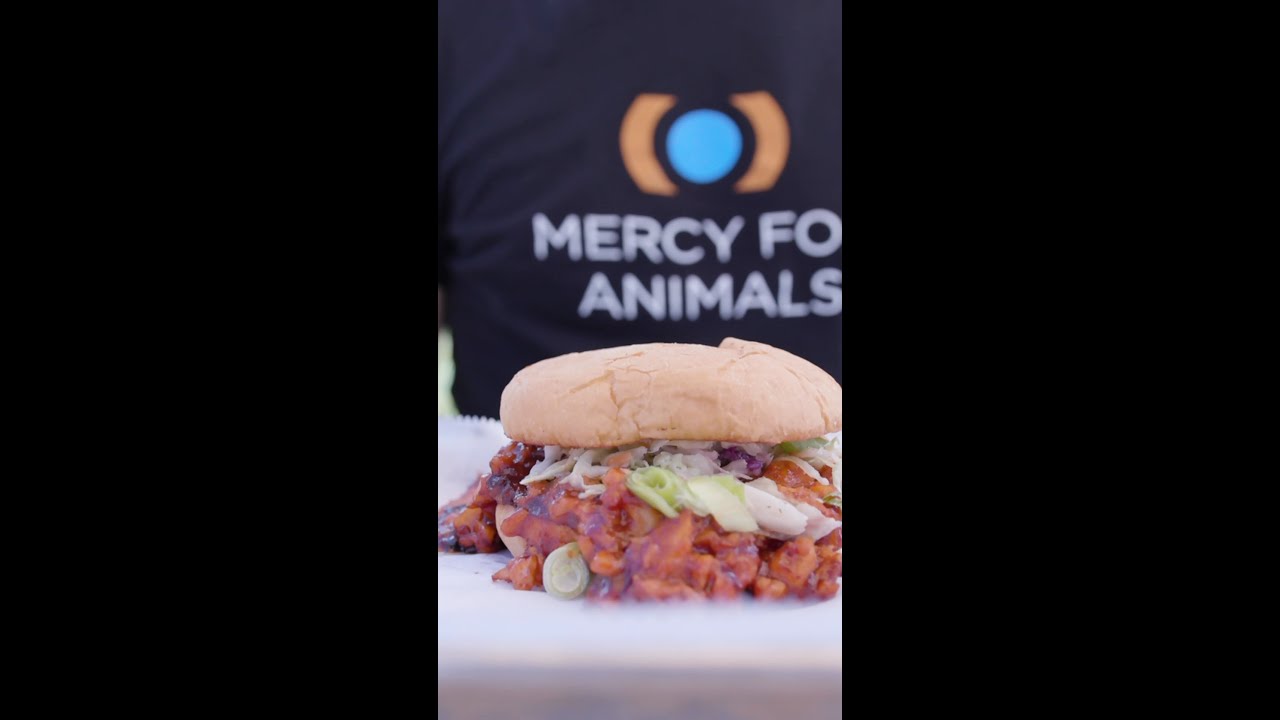 Could plant-based meat replace animal meat? π€