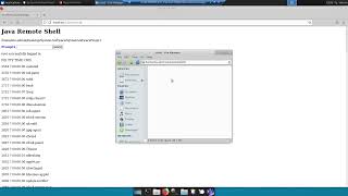 Celebrity System Software - cp command testing Profile