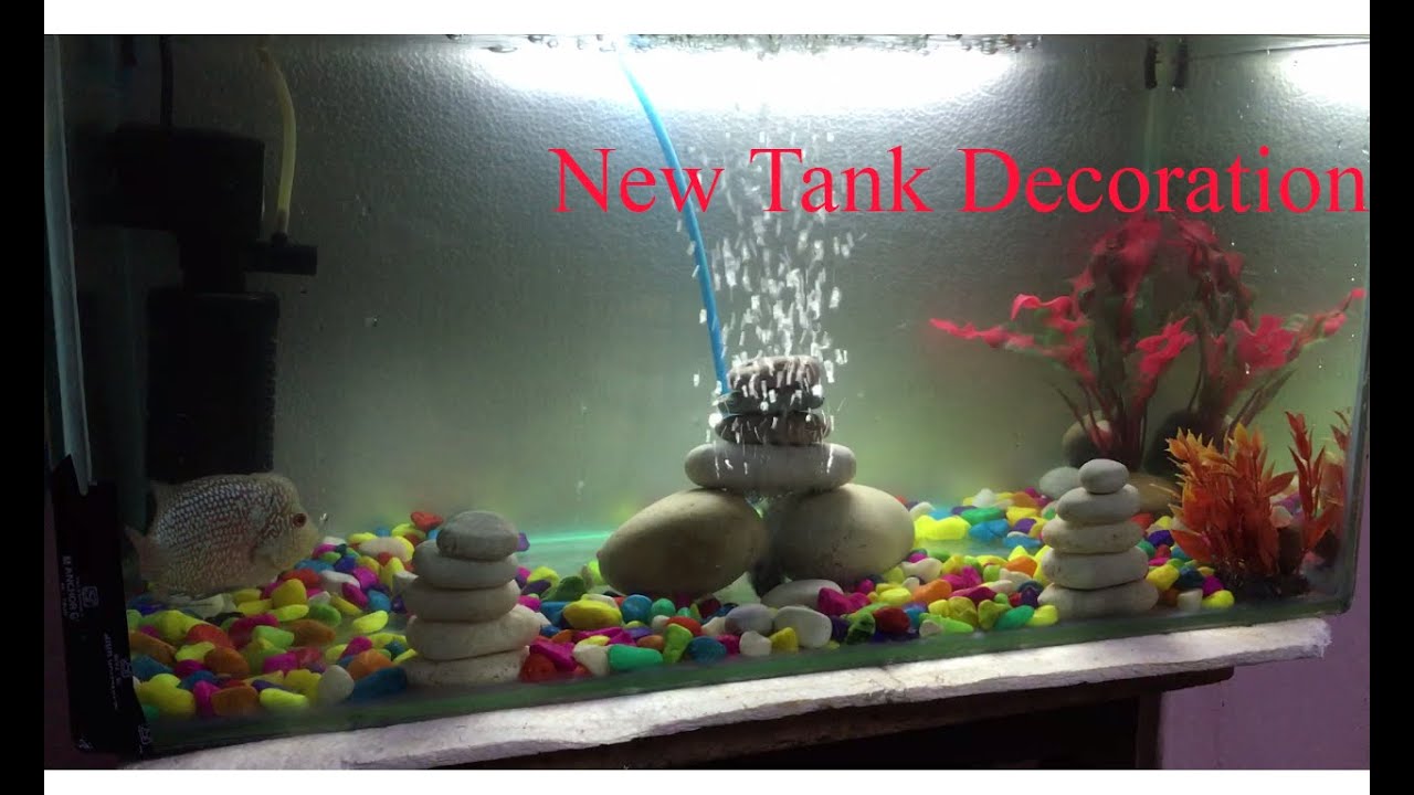 My New Tank Decoration for Flowerhorn YouTube