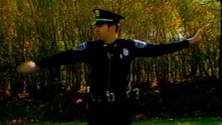 Flagging and the Flagger