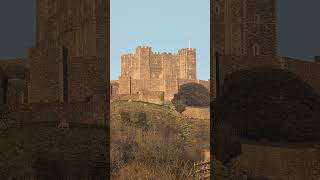 Sheep Outside The Wall