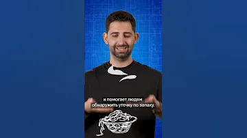 Почему газ так неприятно пахнет? #научпоп