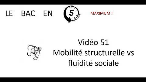 Quelle est la différence entre la mobilité sociale et la fluidité sociale ?