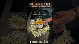 Mach diesen 80°C-Trick bei frischem Holunder! (Niemals kochen ❌)
