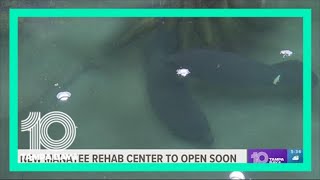 New plan is in the works to help manatee population