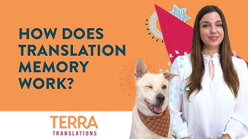 How Does Translation Memory Work?
