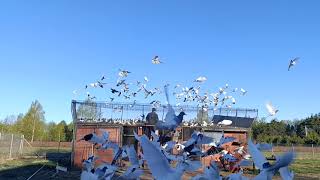 Poganiane. Pozdrawiam 🔥🔥🔥.