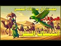 جحا في بلاد الجن الفصل الث ام ن ا س ت ئ ن اف الس ف ر طرائف جحا طرائف العرب قصص عبر حكايات جحا 