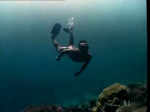 U Mild - Snorkeling