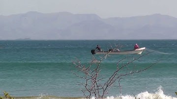 How to set a gill net ! Fishing with a net