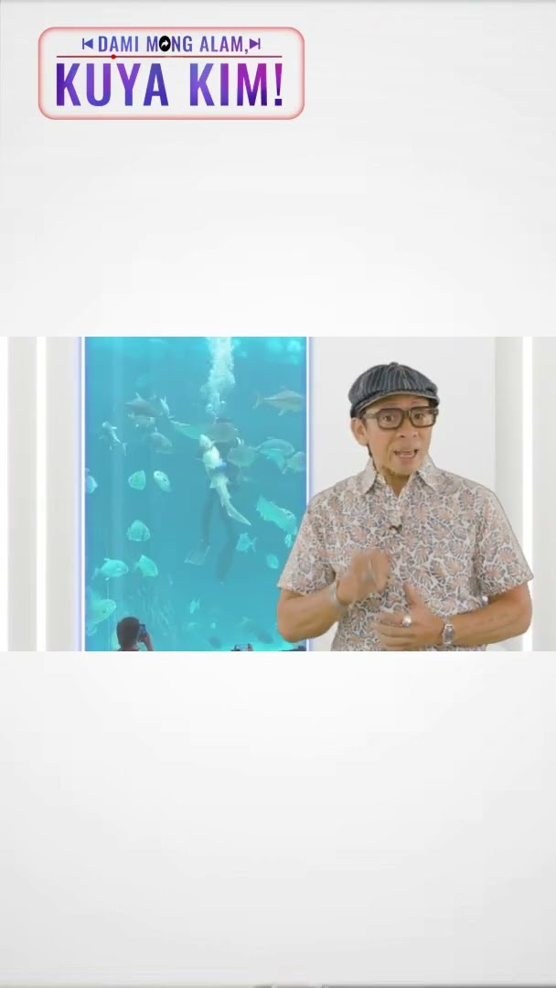 Malambing na pating, ano ang tawag? Alamin! | Dami Mong Alam, Kuya Kim!