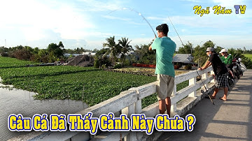 Đi Câu Cá Tra Sông Cú Giật Cá Của Củ Tỏi Có Thể Đạt Kỷ Lục Việt Nam 😂😂 cười Xỉu😂/Fishing/NGÃ NĂM TV