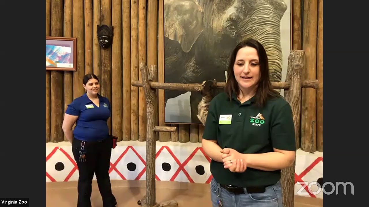 Virginia Zoo | Marvellous Mammals