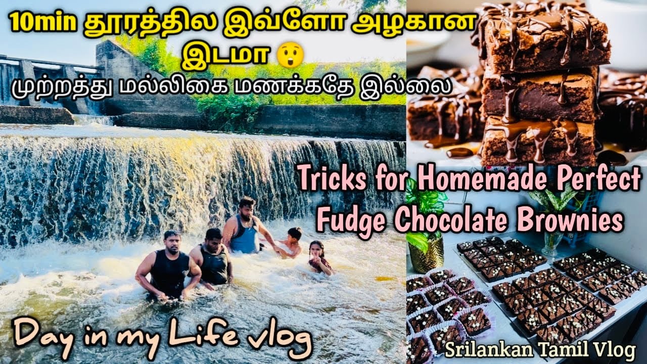 WOW😮10 நிமிட தூரத்தில இவ்ளோ அழகான இடமா? முற்றத்து மல்லிகை எப்போதும் மணக்காது| Tricks for 😋 brownies