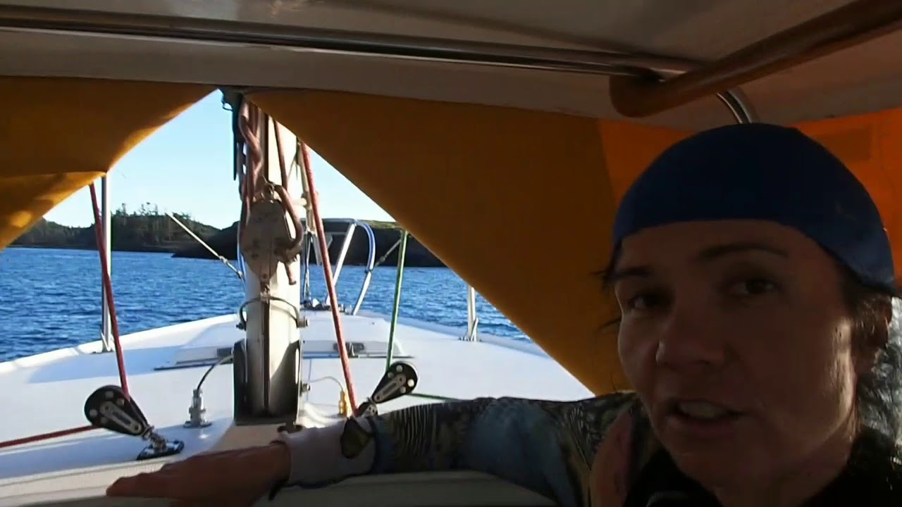 Diving San Juans,  Northwest Island West Wall, Long Island West Wall and Kelp cove.