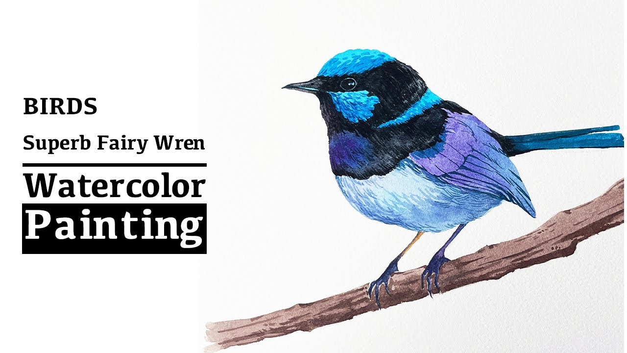How to paint birds in watercolour, wetondry. YouTube
