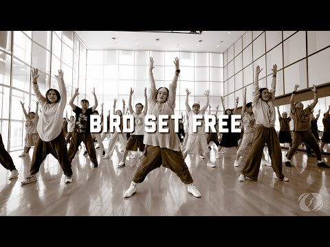 BIRD SET FREE / SALSATION®CHOREOGRAPHY by SET HIROMI MEGURO