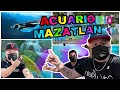 Acuario de Mazatlán 2022 / pingüinario de Mazatlán y lobos marinos