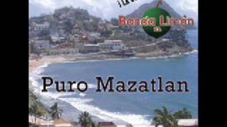 Video thumbnail of "La Guarecita- La Original Banda El Limon"