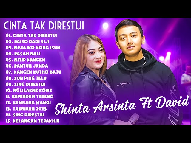 Shinta Arsinta Feat David - Cinta Tak Direstui | Dangdut Official class=