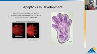 BIOL201 Ch9.2-3 | Propagation of the Signal and Response to Signal