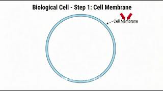 "Complete Cell Structure Explained: All Components & Functions "