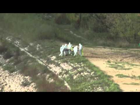 В Висле поймали русалку! Видео взорвало Интернет